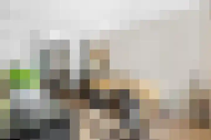 1e Wilakkersstraat 31 Eindhoven thumbnail 31