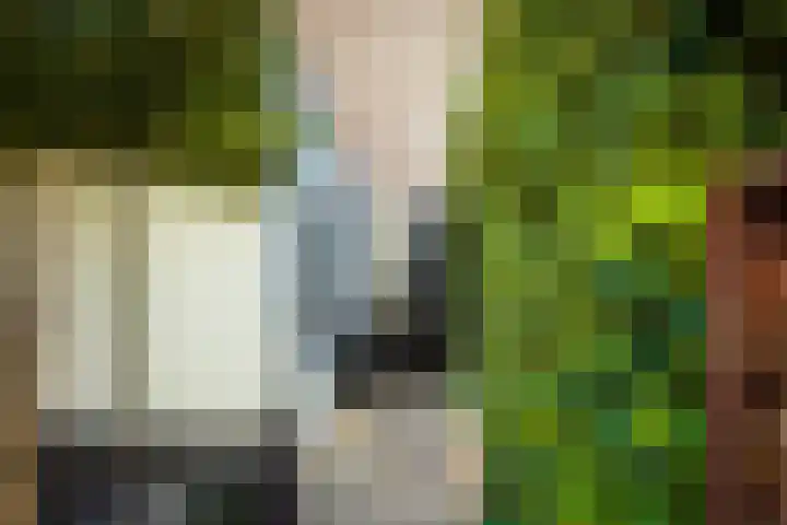 1e Wilakkersstraat 31 Eindhoven thumbnail 38