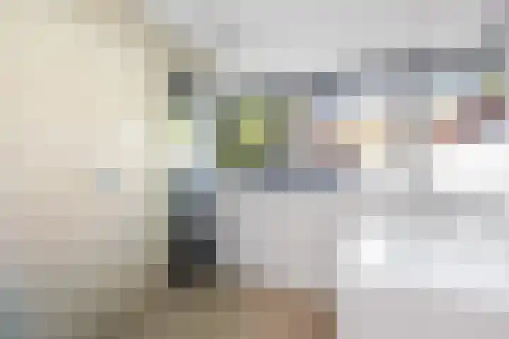 1e Wilakkersstraat 31 Eindhoven thumbnail 48