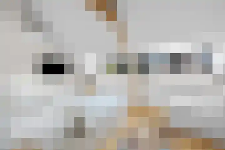1e Wilakkersstraat 31 Eindhoven thumbnail 58