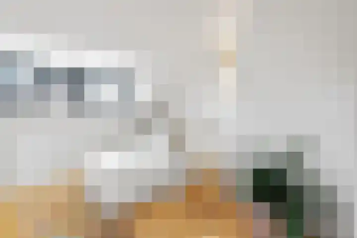 1e Wilakkersstraat 31 Eindhoven thumbnail 62