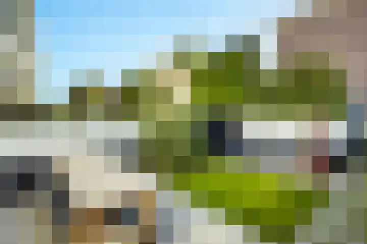 1e Wilakkersstraat 31 Eindhoven thumbnail 8