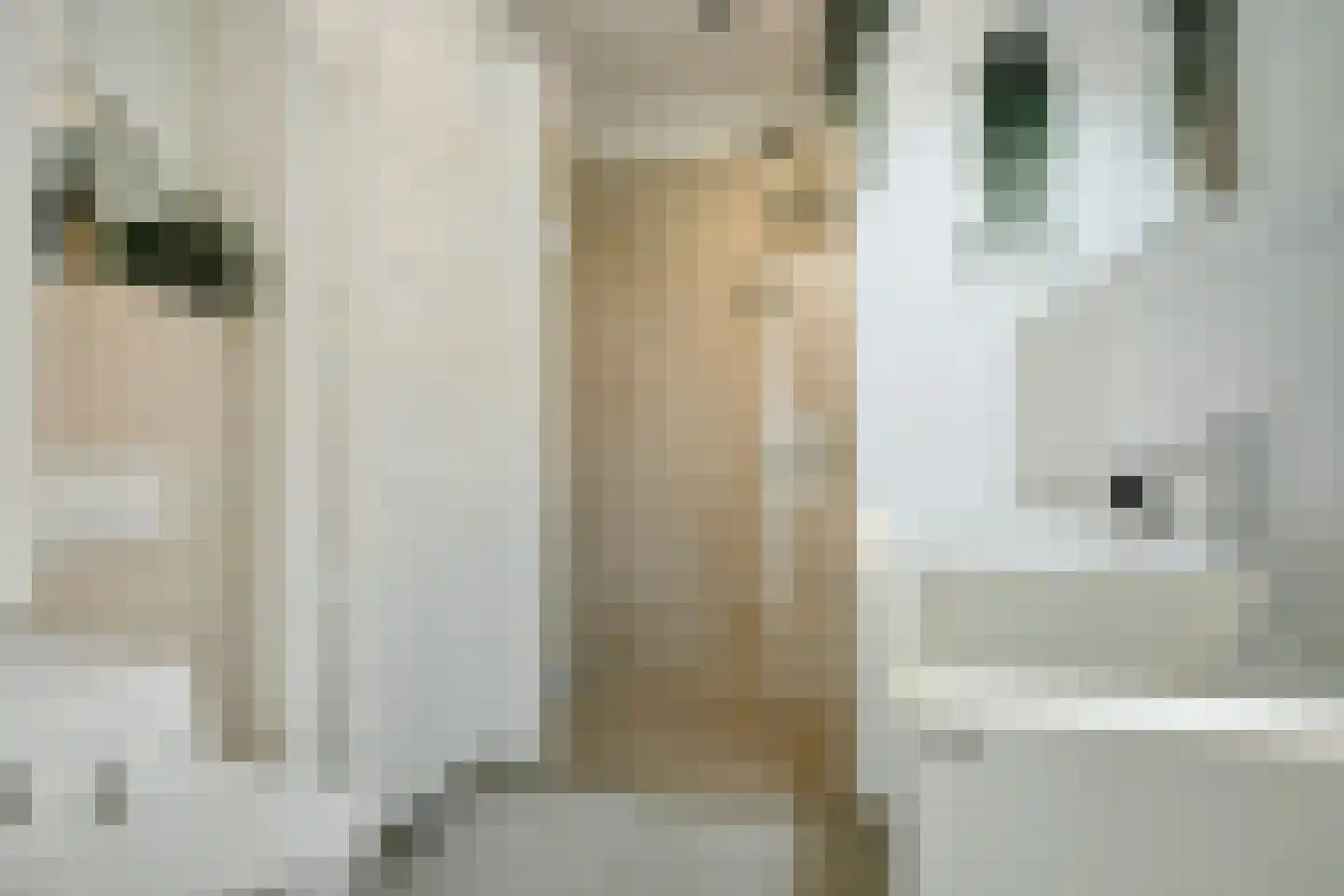 1e Wilakkersstraat 41 Eindhoven thumbnail 17