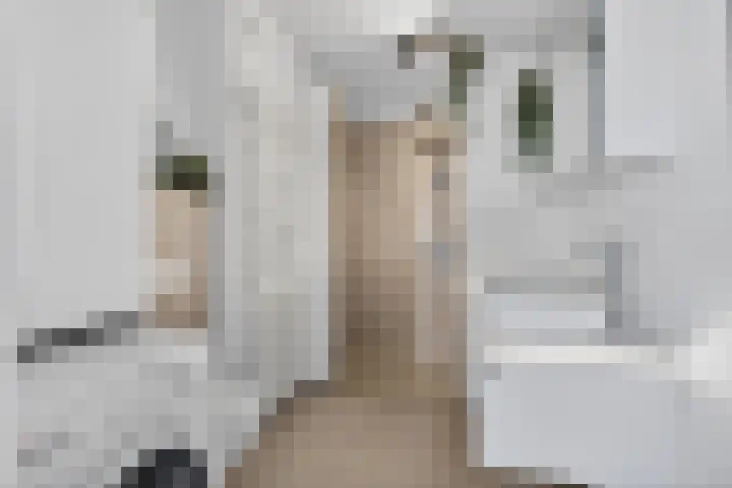1e Wilakkersstraat 41 Eindhoven thumbnail 5