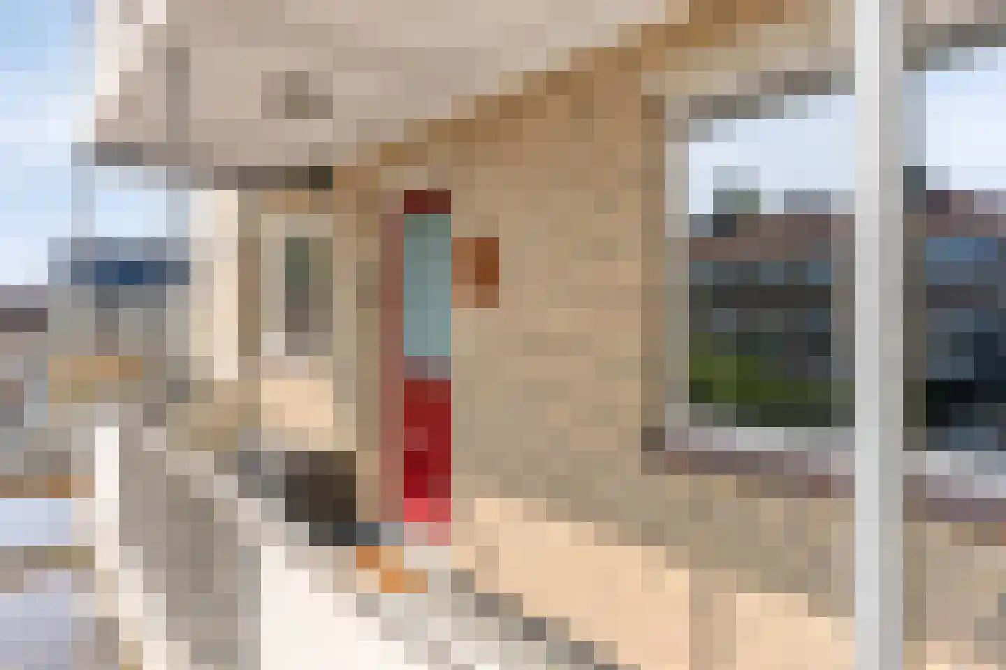 1e Wilakkersstraat 43 Eindhoven thumbnail 12