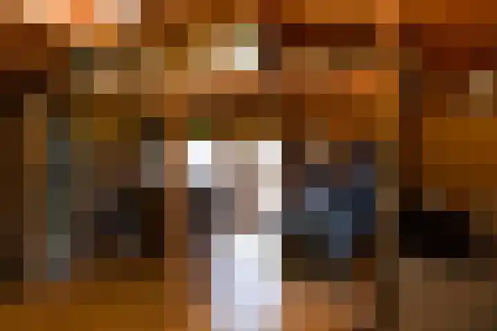 1e Wormenseweg 112 Apeldoorn thumbnail 31