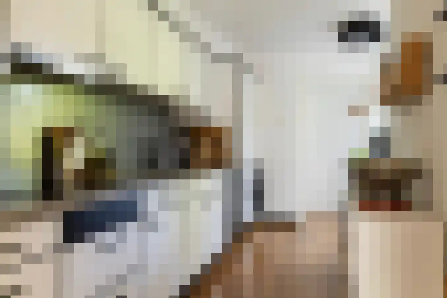 1e Wormenseweg 137 2 Apeldoorn thumbnail 10