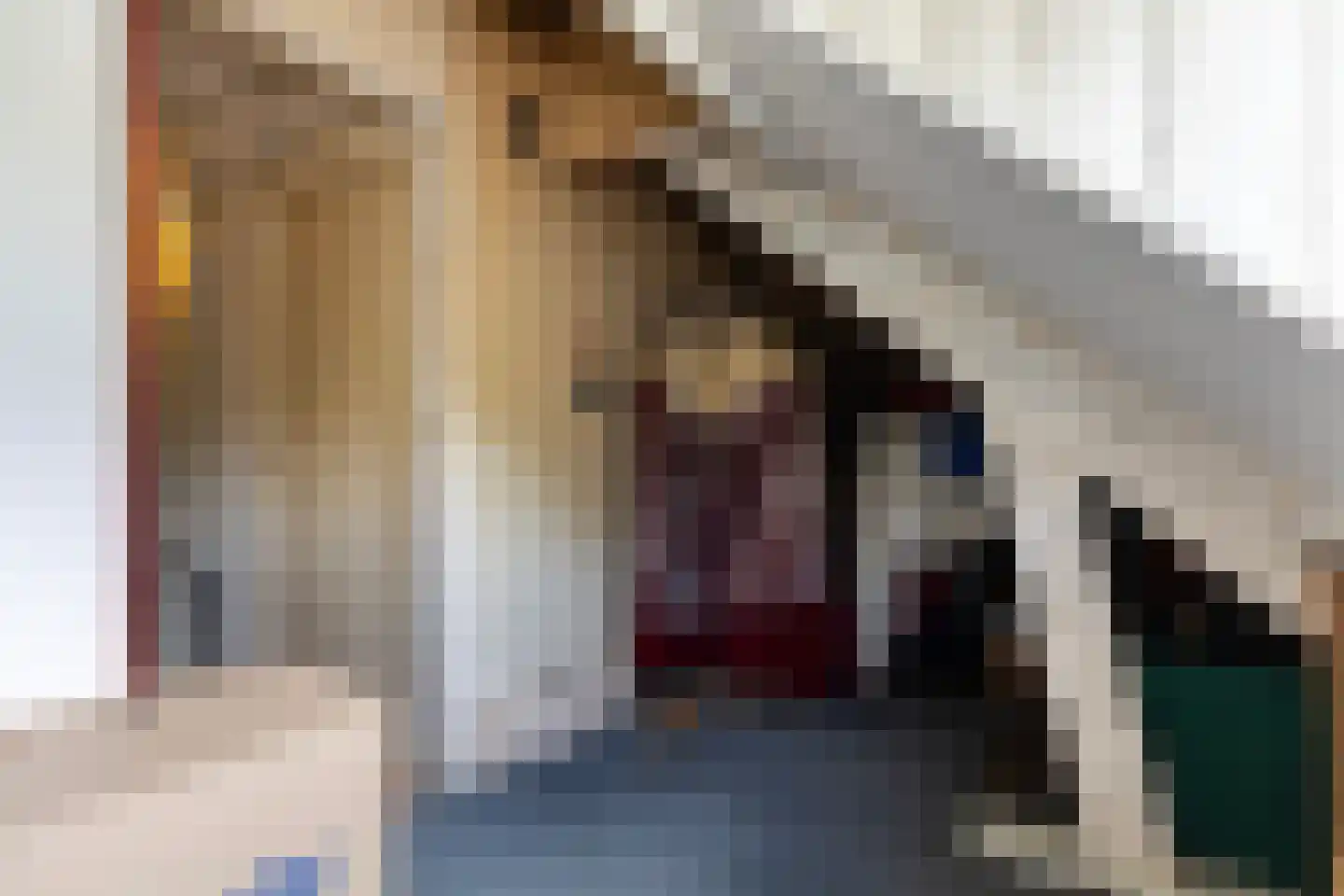 1e Wormenseweg 137 2 Apeldoorn thumbnail 26