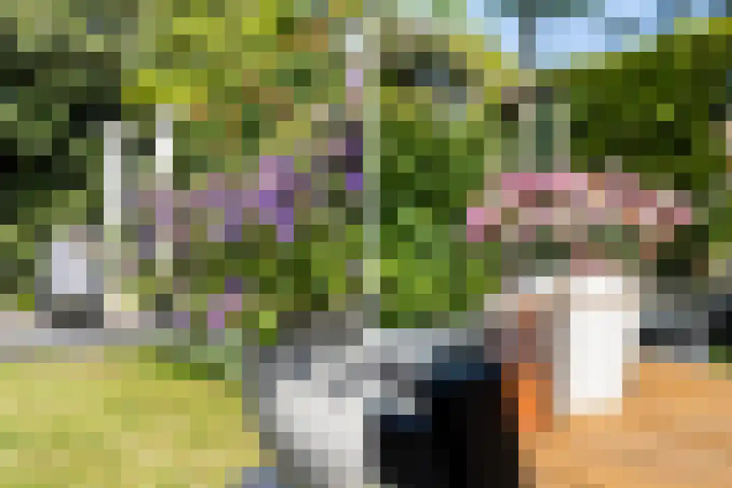 1e Wormenseweg 137 2 Apeldoorn thumbnail 32