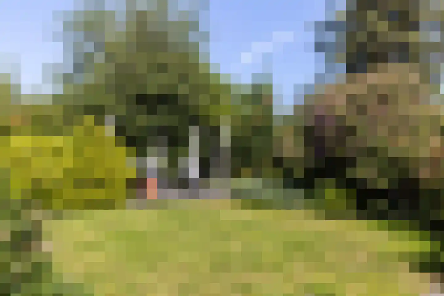 1e Wormenseweg 137 2 Apeldoorn thumbnail 33