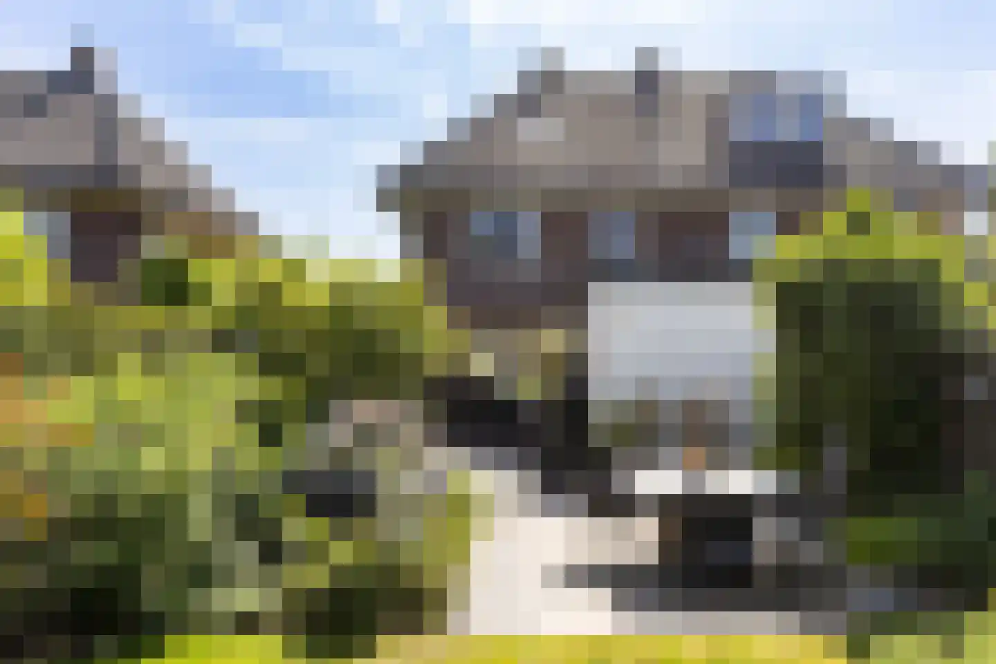 1e Wormenseweg 137 2 Apeldoorn thumbnail 36