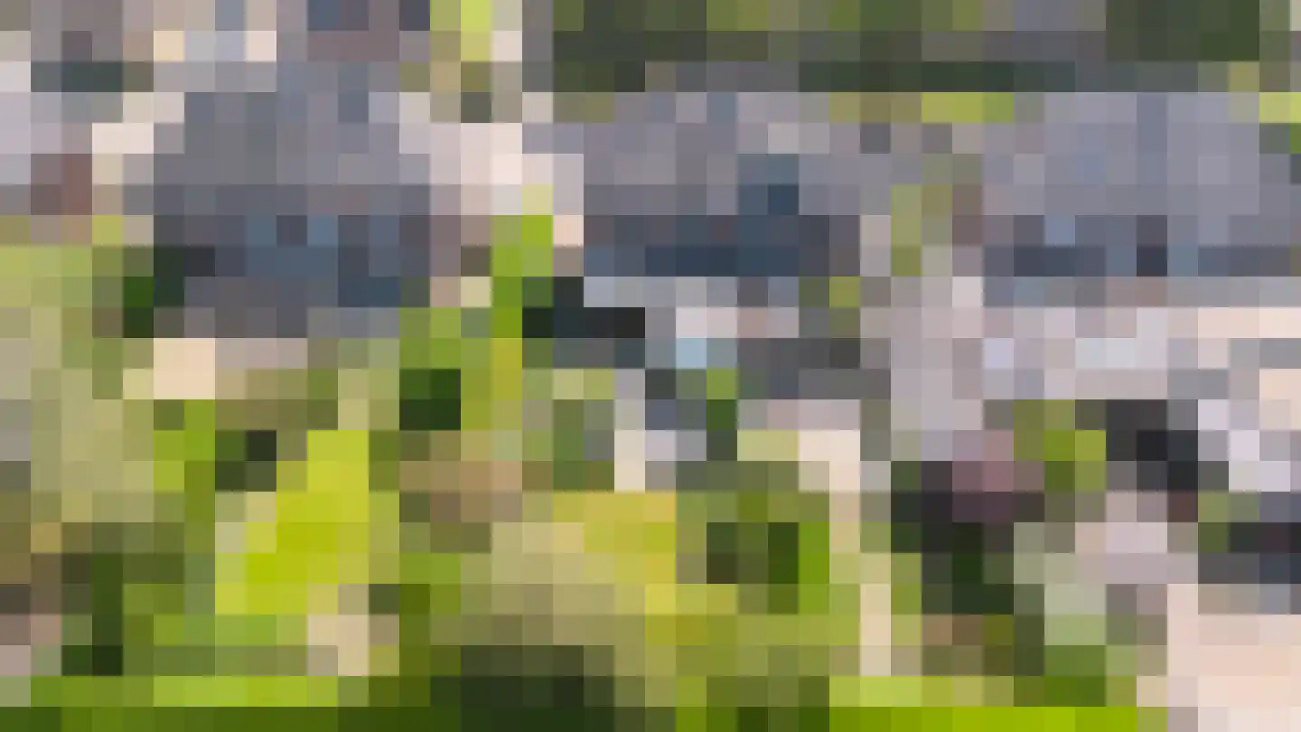 1e Wormenseweg 137 2 Apeldoorn thumbnail 37