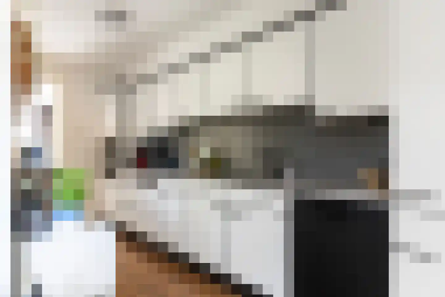 1e Wormenseweg 137 2 Apeldoorn thumbnail 9