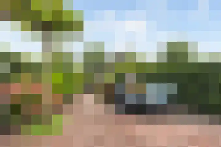 1e Wormenseweg 140 Apeldoorn thumbnail 15
