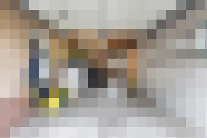 1e Wormenseweg 140 Apeldoorn thumbnail 20