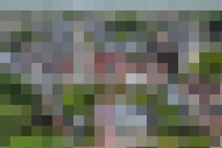 1e Wormenseweg 140 Apeldoorn thumbnail 22