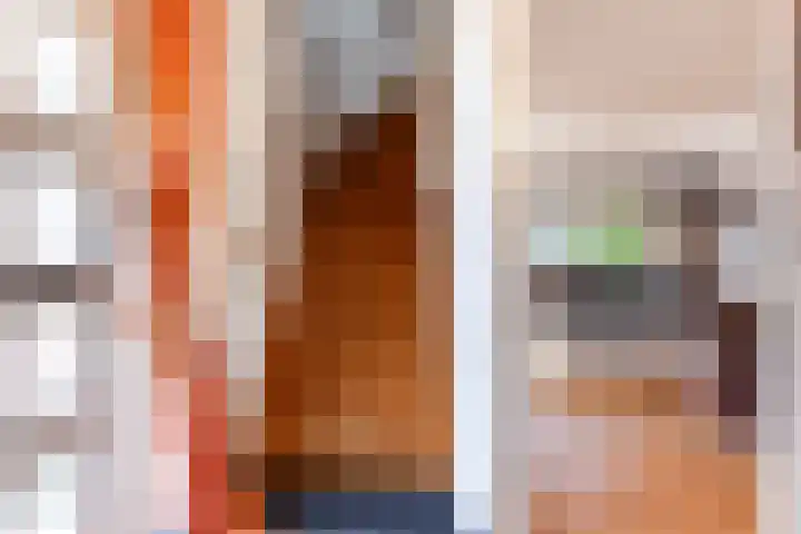 1e Wormenseweg 140 Apeldoorn thumbnail 27