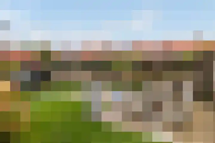 1e Wormenseweg 151 Apeldoorn thumbnail 18