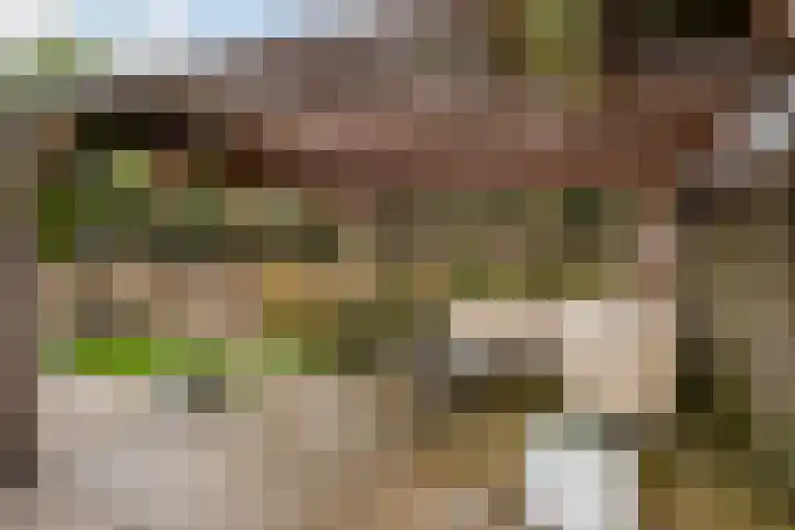 1e Wormenseweg 151 Apeldoorn thumbnail 19