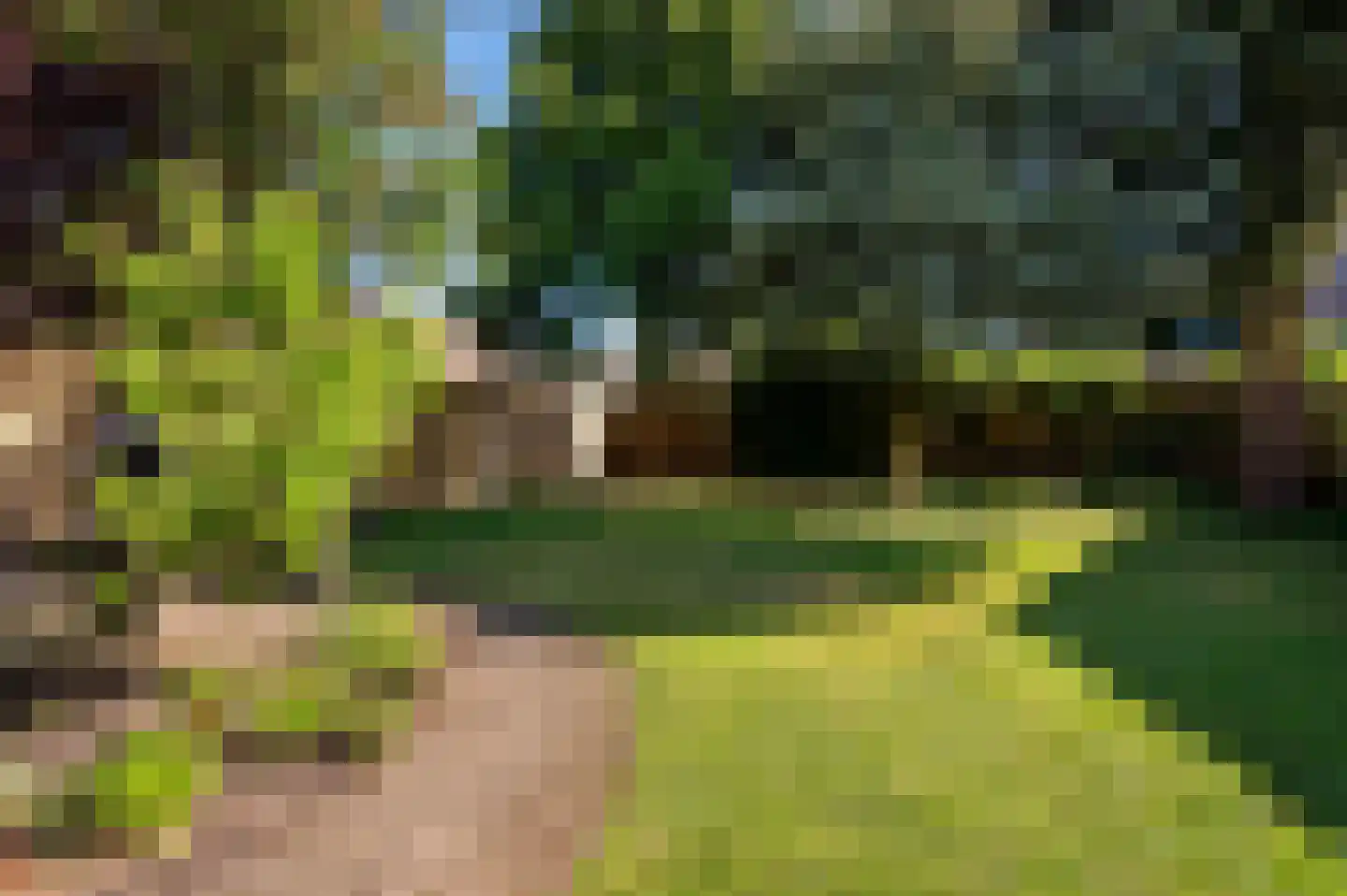 1e Wormenseweg 161 Apeldoorn thumbnail 23