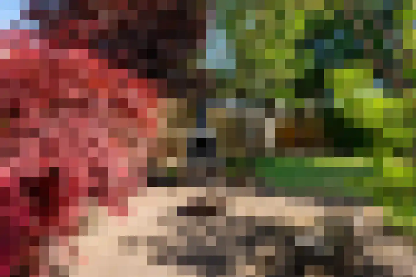1e Wormenseweg 161 Apeldoorn thumbnail 26