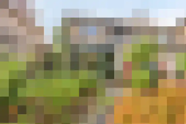 1e Wormenseweg 187 A Apeldoorn thumbnail 13