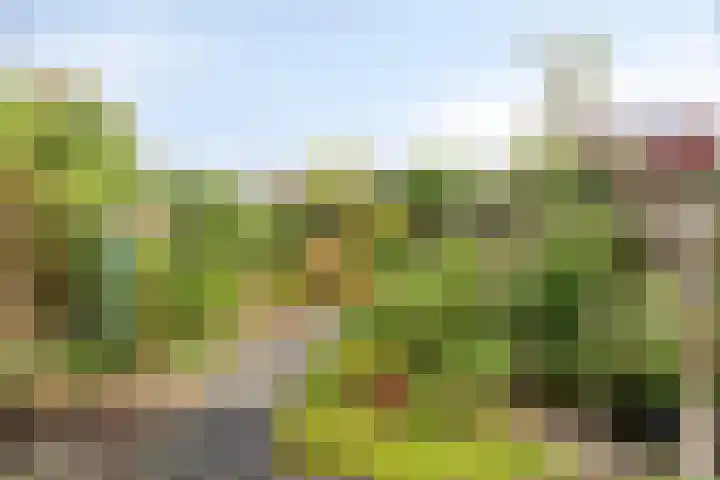 1e Wormenseweg 187 A Apeldoorn thumbnail 14