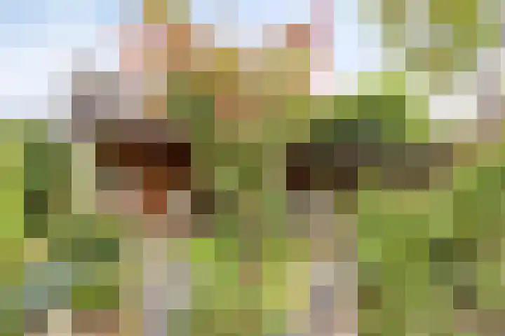1e Wormenseweg 187 A Apeldoorn thumbnail 15