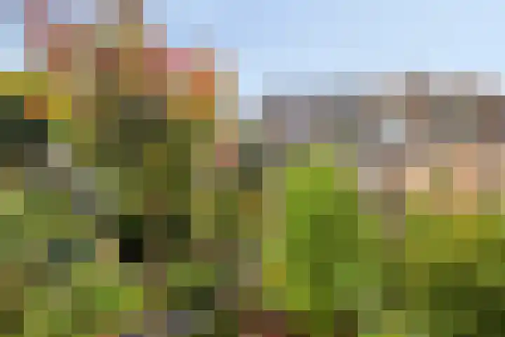 1e Wormenseweg 187 A Apeldoorn thumbnail 17