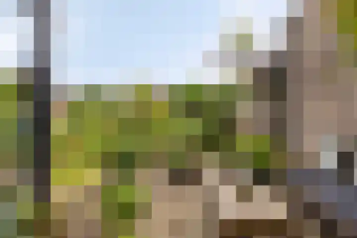 1e Wormenseweg 187 A Apeldoorn thumbnail 18