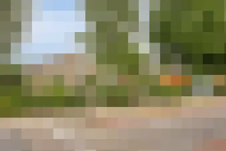1e Wormenseweg 187 A Apeldoorn thumbnail 28