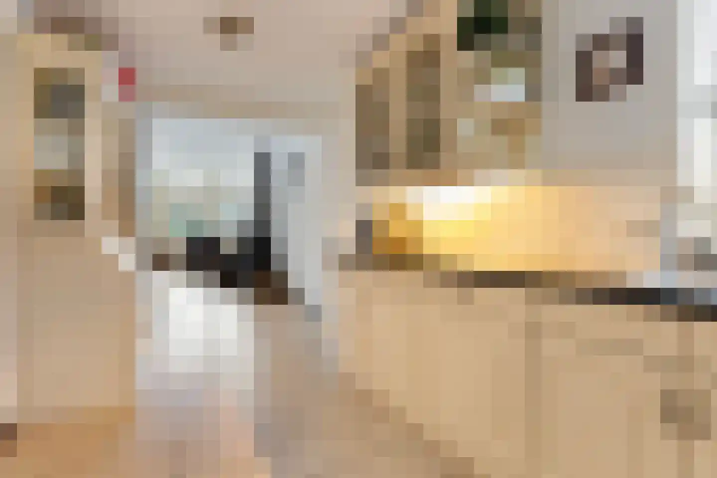 1e Wormenseweg 190 Apeldoorn thumbnail 11