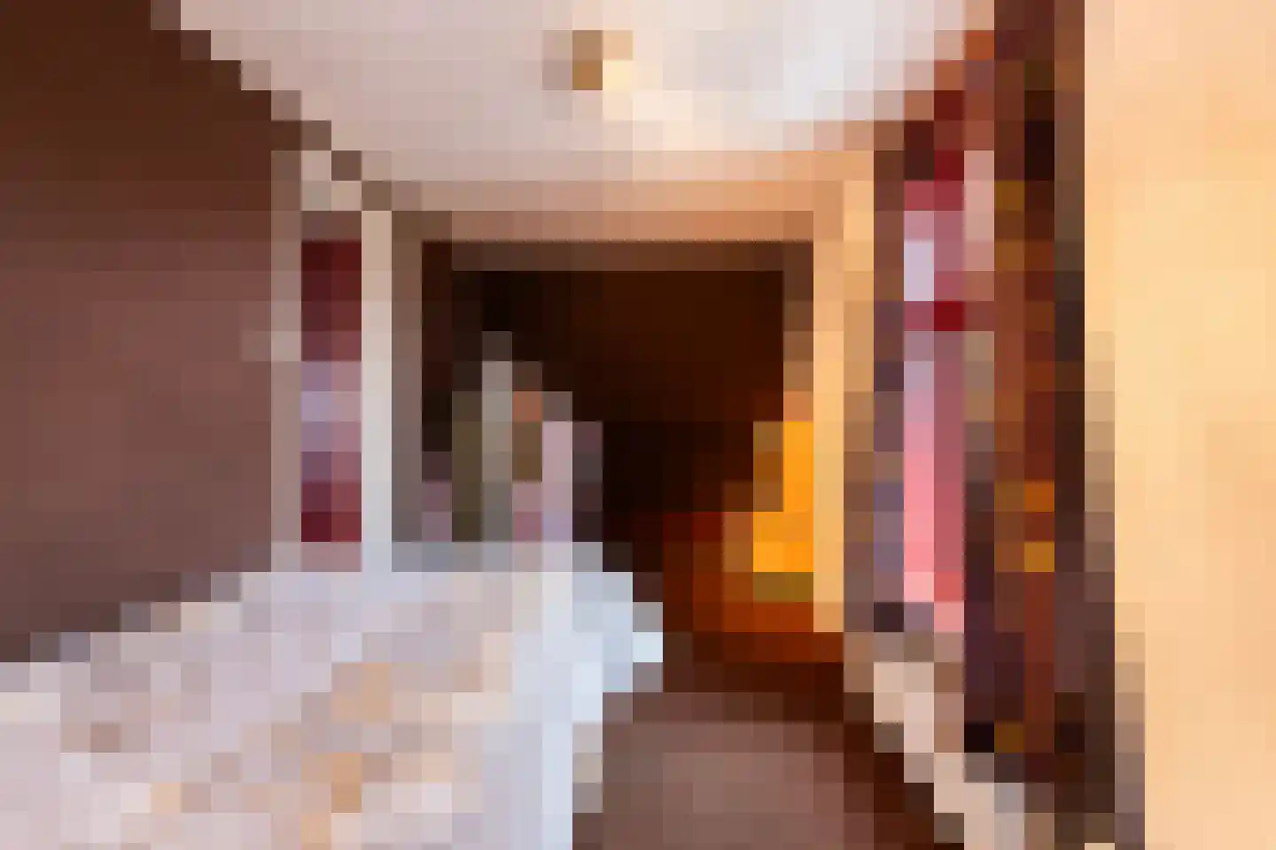 1e Wormenseweg 190 Apeldoorn thumbnail 22