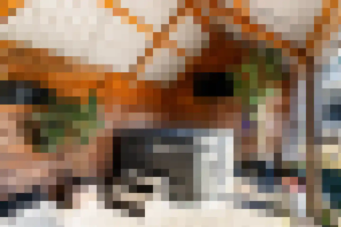 1e Wormenseweg 190 Apeldoorn thumbnail 34