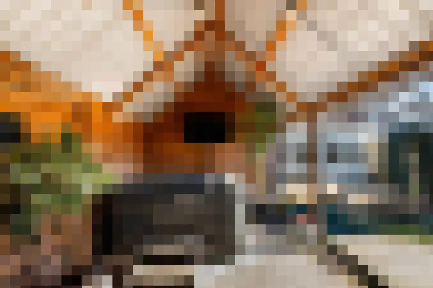 1e Wormenseweg 190 Apeldoorn thumbnail 35