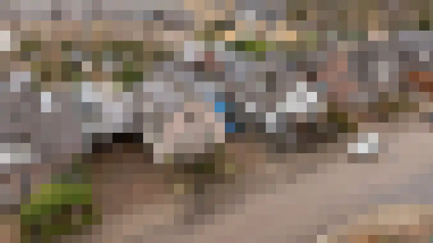 1e Wormenseweg 190 Apeldoorn thumbnail 38