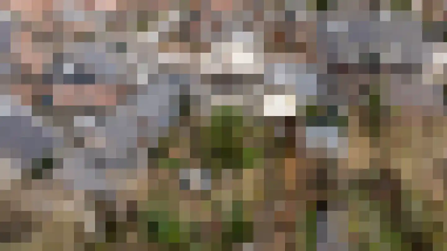 1e Wormenseweg 190 Apeldoorn thumbnail 39