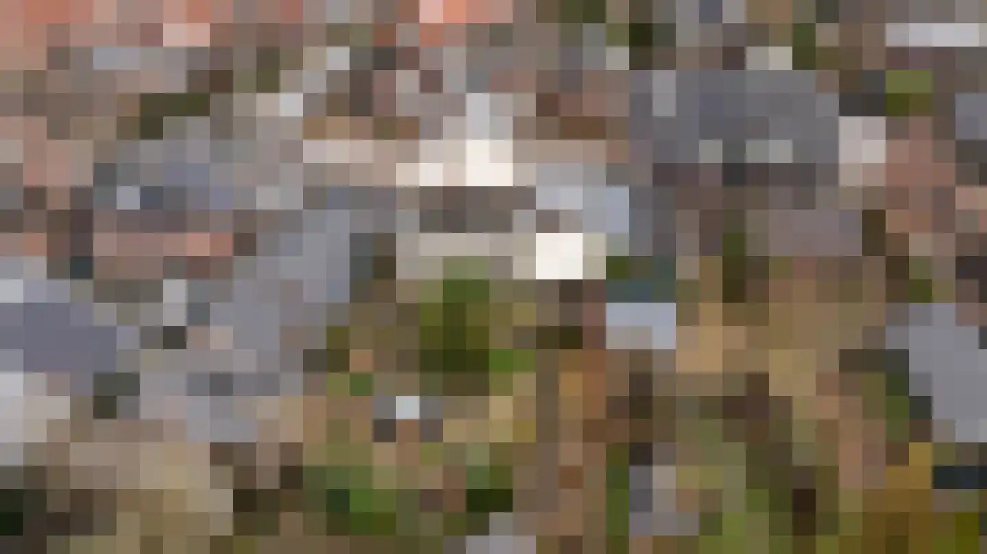 1e Wormenseweg 190 Apeldoorn thumbnail 40