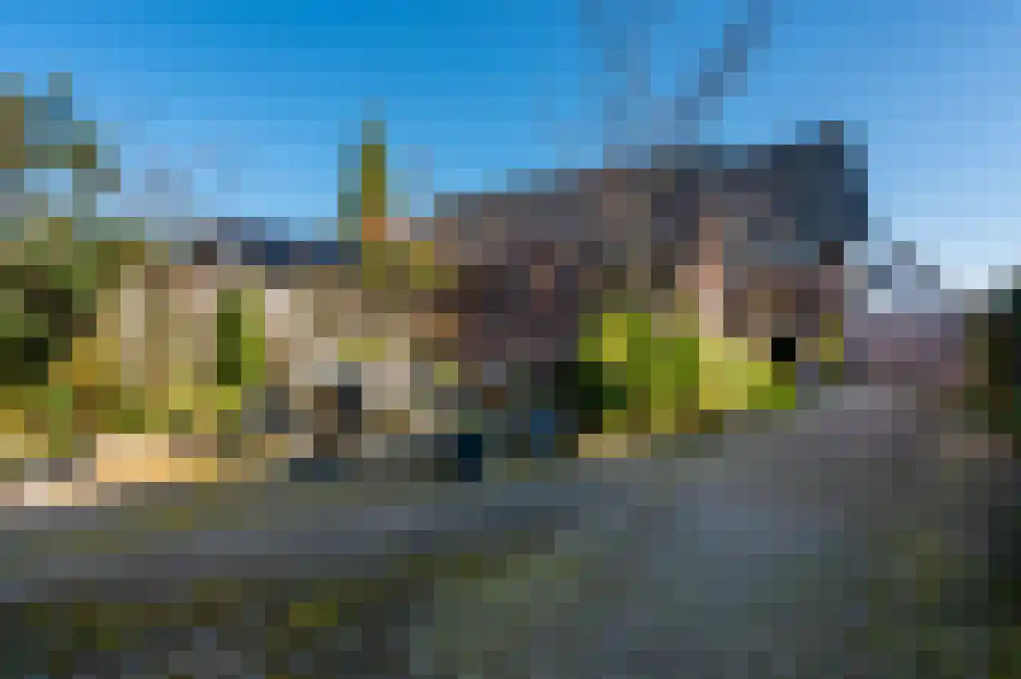 1e Wormenseweg 194 Apeldoorn thumbnail 21