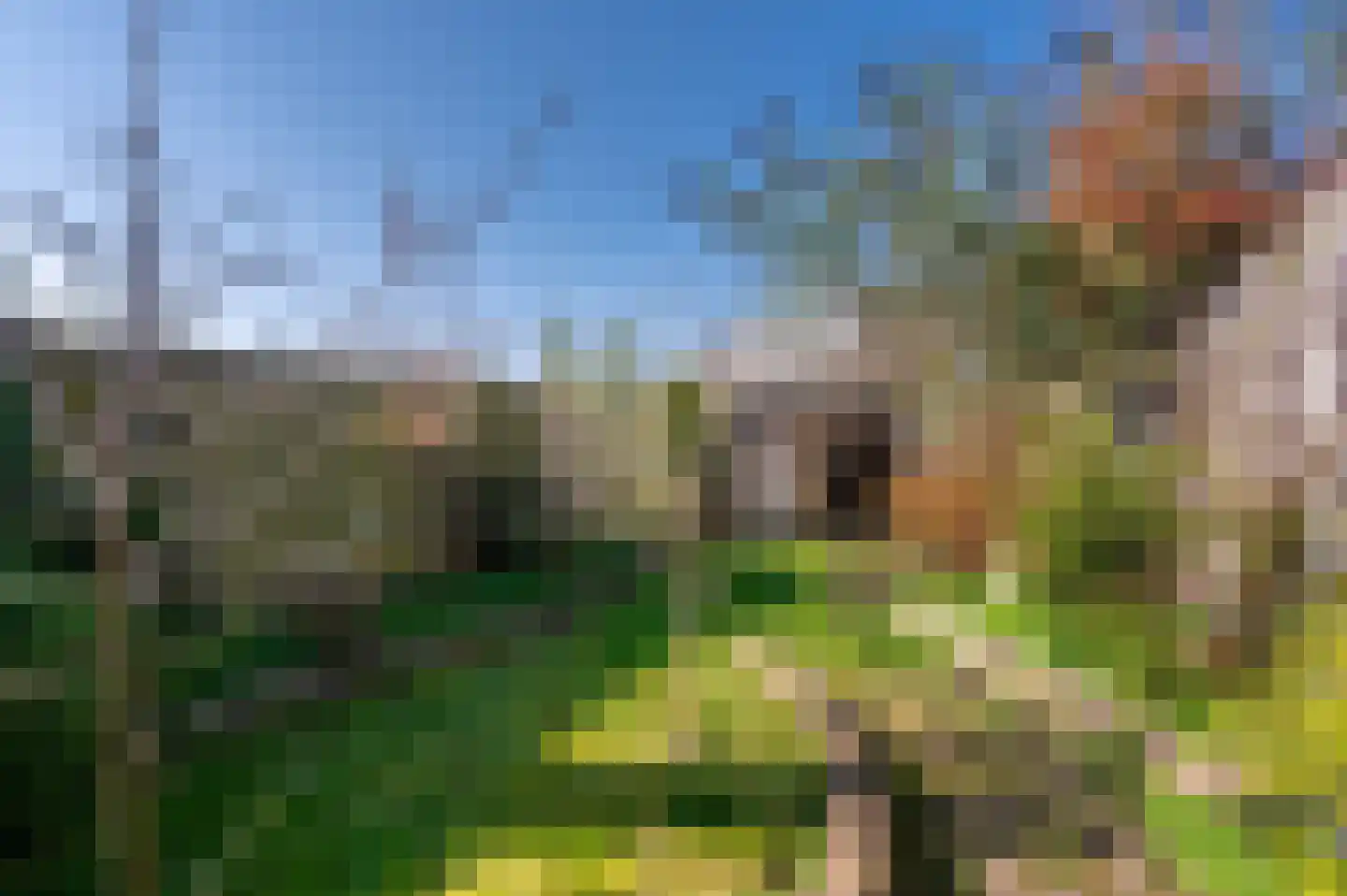 1e Wormenseweg 194 Apeldoorn thumbnail 22
