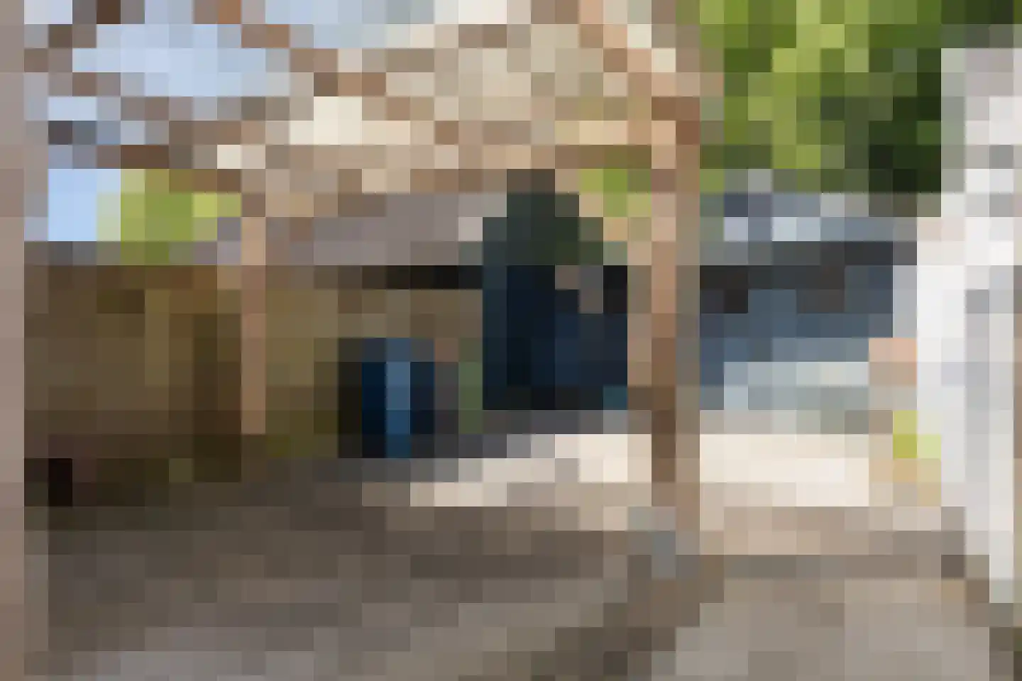 1e Wormenseweg 20 Apeldoorn thumbnail 17