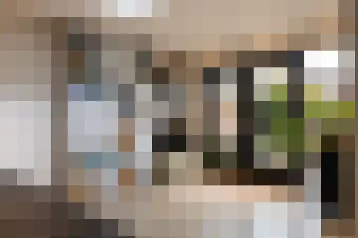 1e Wormenseweg 201 Apeldoorn thumbnail 17