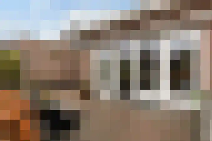 1e Wormenseweg 201 Apeldoorn thumbnail 18
