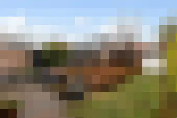 1e Wormenseweg 201 Apeldoorn thumbnail 19