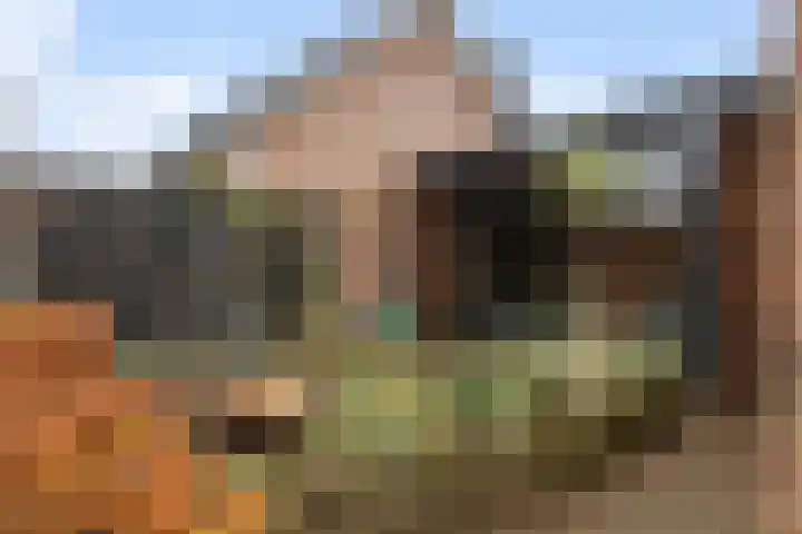 1e Wormenseweg 201 Apeldoorn thumbnail 21