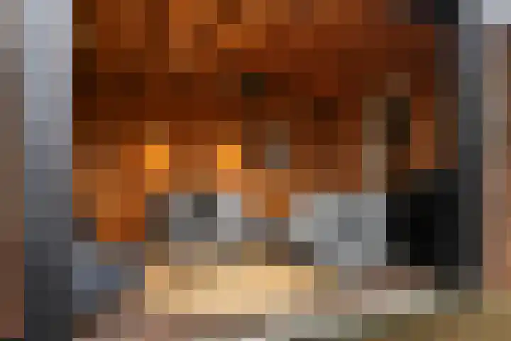 1e Wormenseweg 201 Apeldoorn thumbnail 22