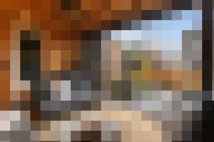 1e Wormenseweg 201 Apeldoorn thumbnail 23