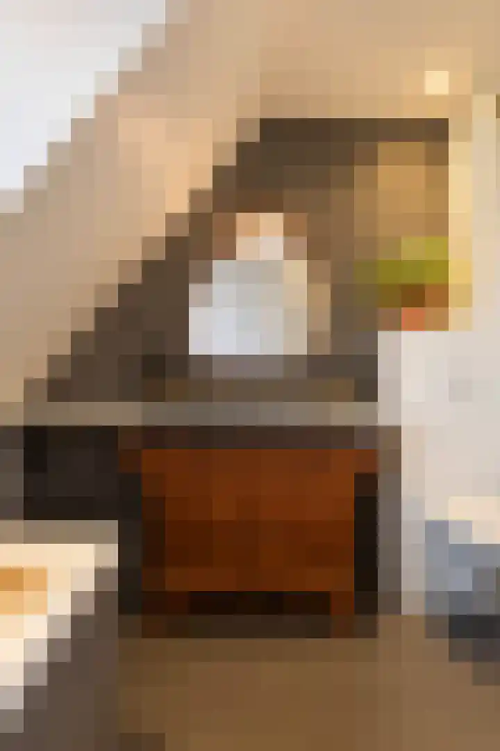 1e Wormenseweg 201 Apeldoorn thumbnail 32