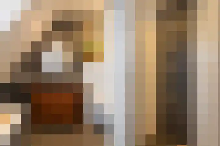 1e Wormenseweg 201 Apeldoorn thumbnail 33