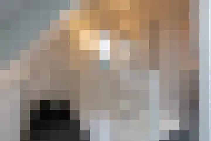 1e Wormenseweg 201 Apeldoorn thumbnail 34